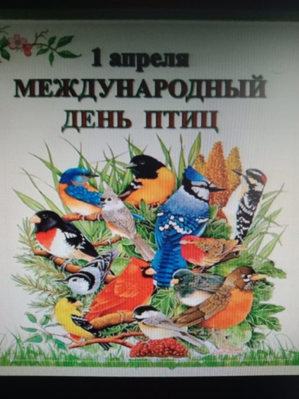"Крылатые соседи"..